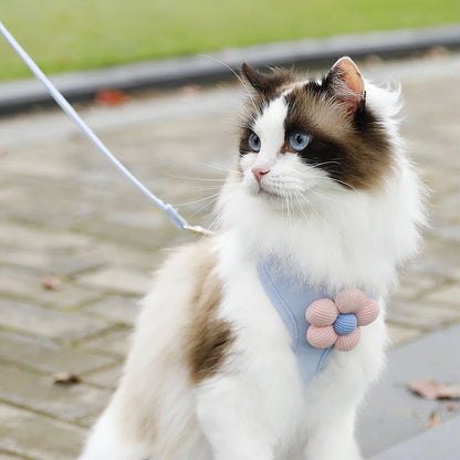 Adjustable Breathable Dog & Cat Harness Set
