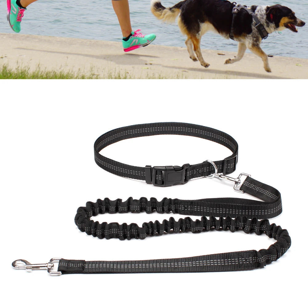Hands-Free Dog Leash with Waist Belt