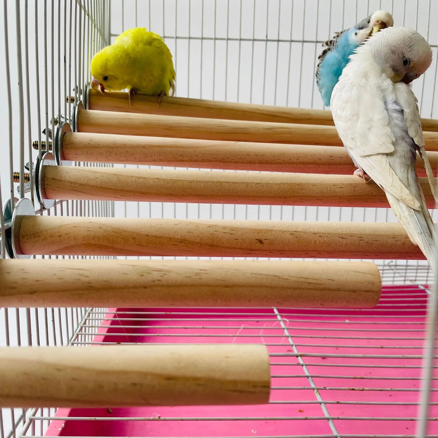 Natural Wood Bird Perch Stick
