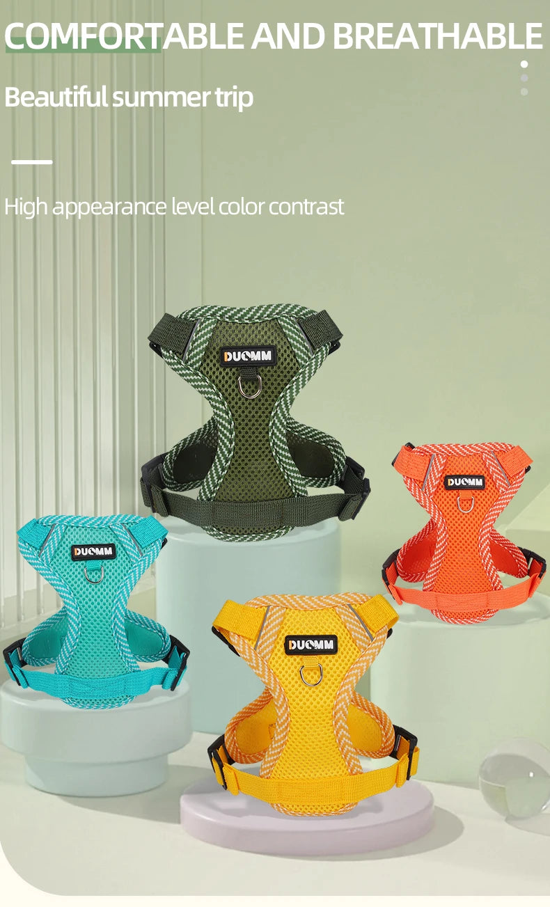 Reflective Mesh Cat Harness & Leash Set