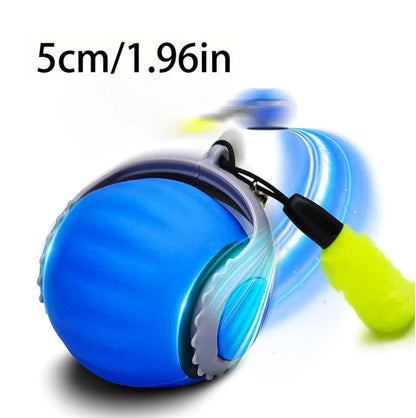 Automatic Rolling Cat Ball