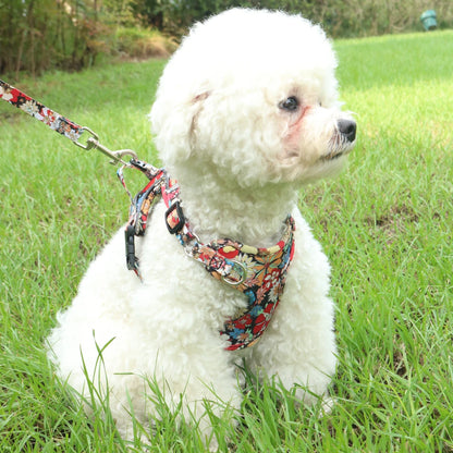 Small Dog Harness & Leash Set