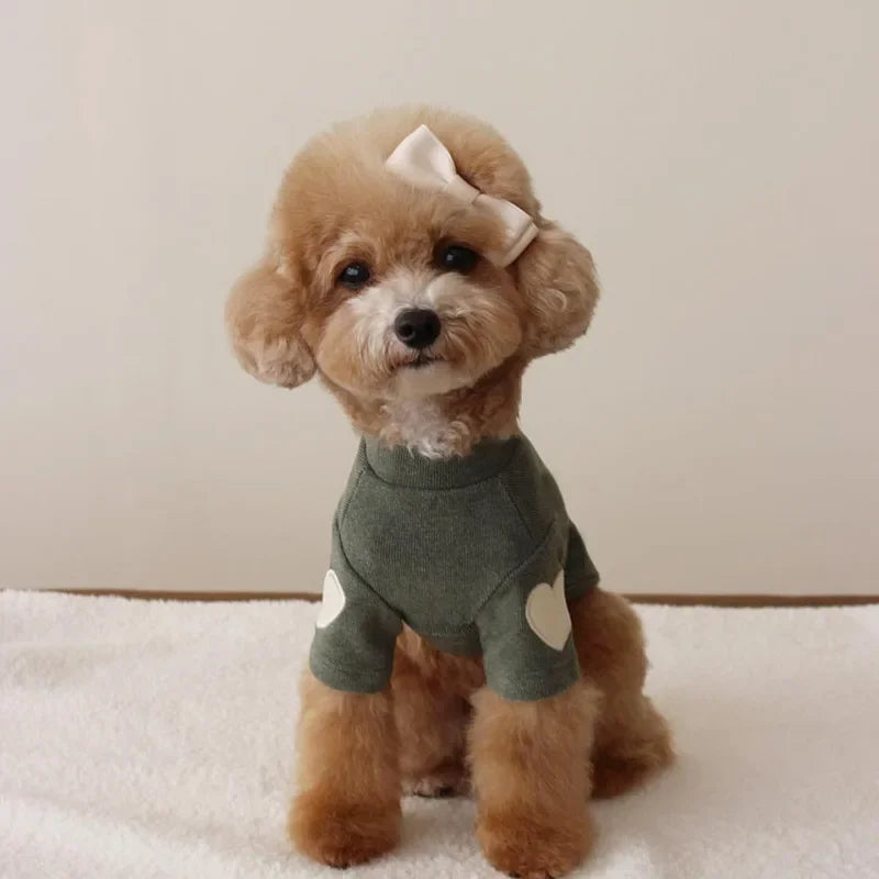 Love Bear Winter Pet Hoodie