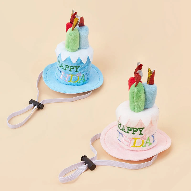 Pet Birthday Party Hat