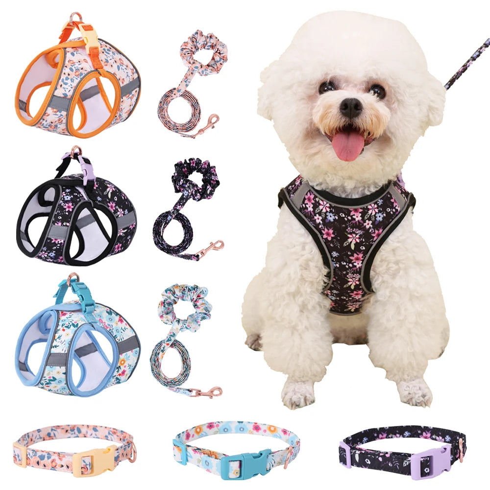 Small Dog Harness & Leash Set