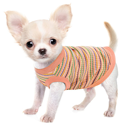 Ribbed Dog Tank Tee