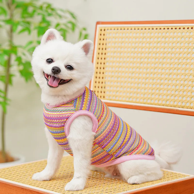 Casual Summer Pet T-Shirt