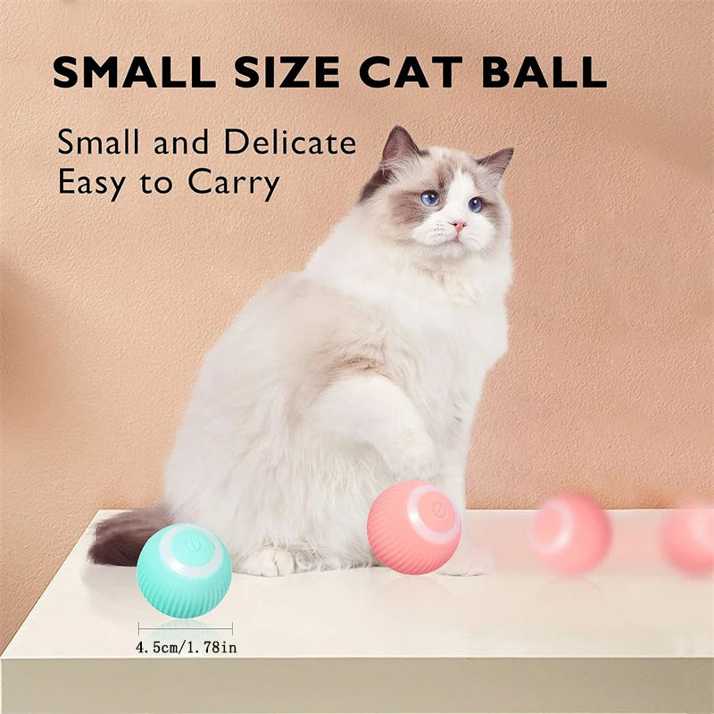 Automatic Rolling Cat Ball