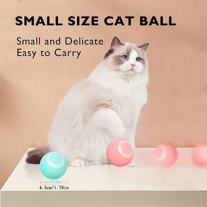 Automatic Rolling Cat Ball