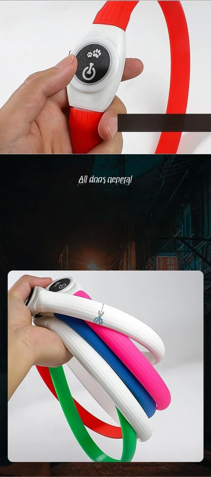 LED Light-Up Dog Collar