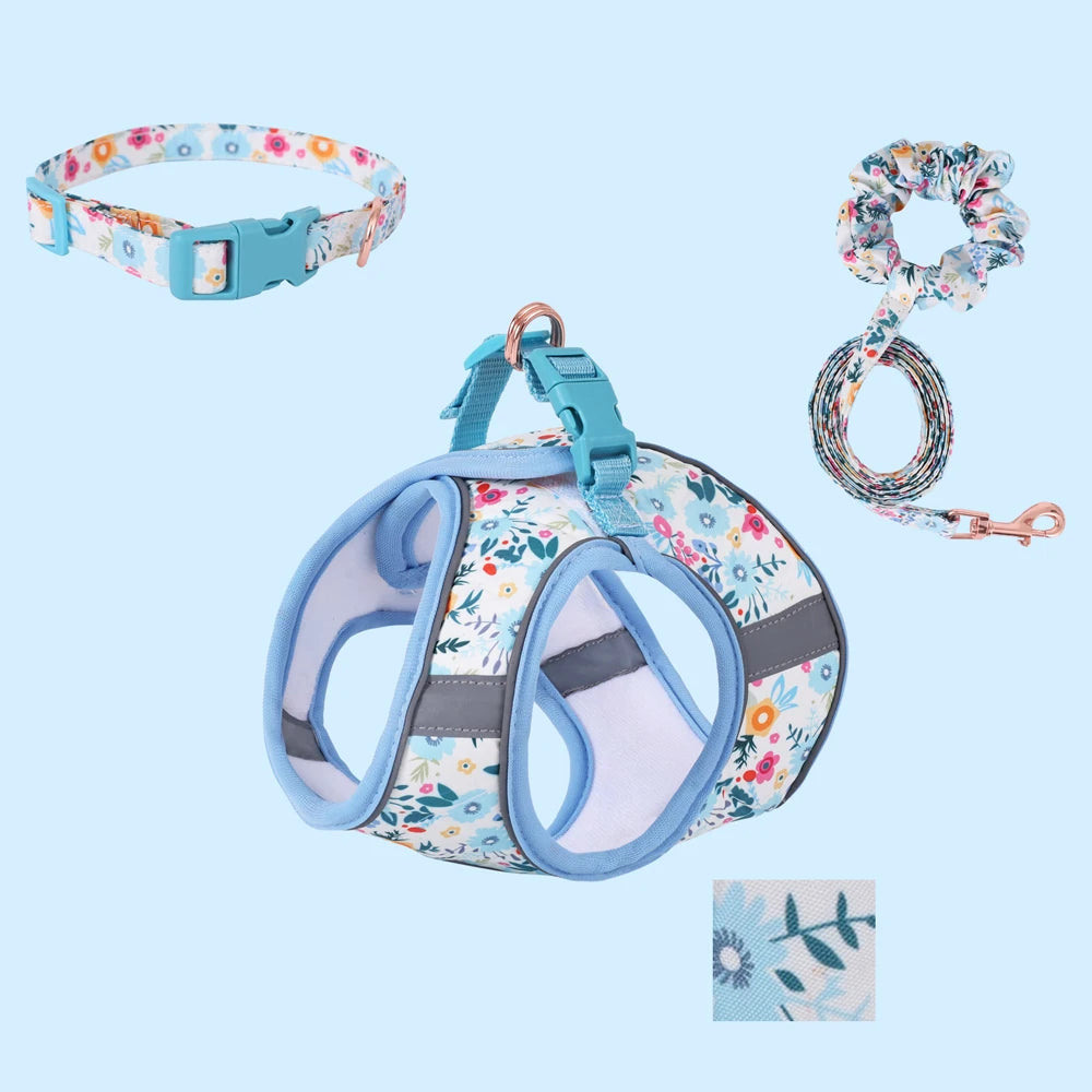 Small Dog Harness & Leash Set
