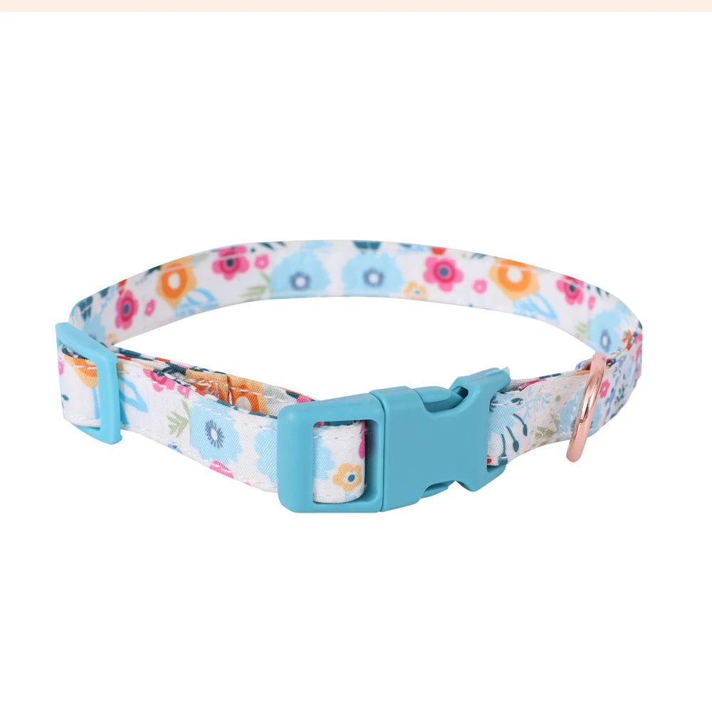 Small Dog Harness & Leash Set