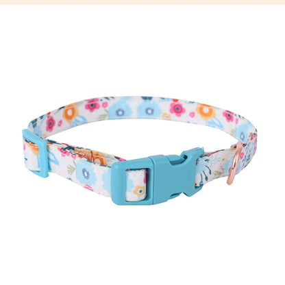 Small Dog Harness & Leash Set