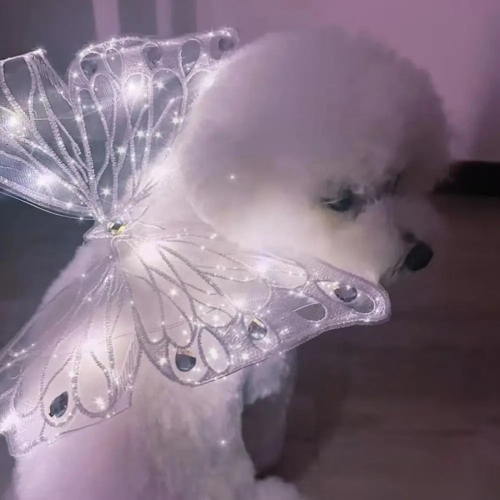 Glowing Butterfly Wings Pet Accessory