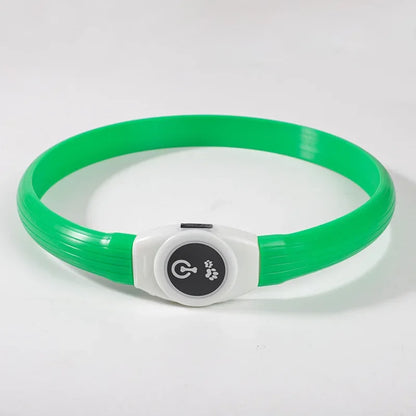 LED Light-Up Dog Collar