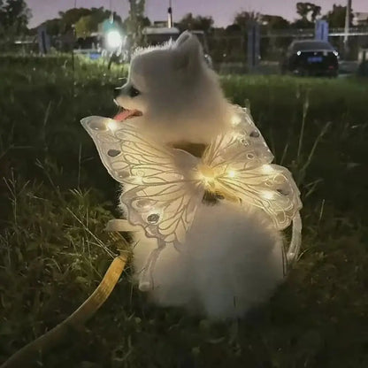 Glowing Butterfly Wings Pet Accessory