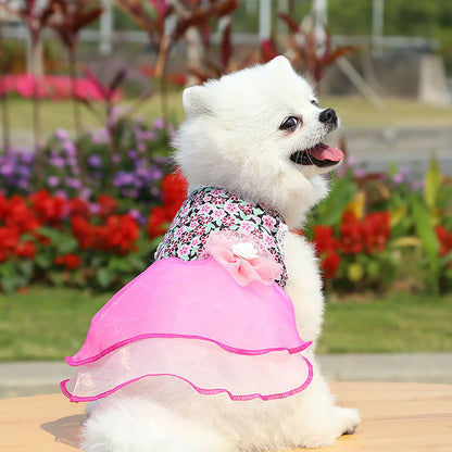 Rose Summer Dog Dress