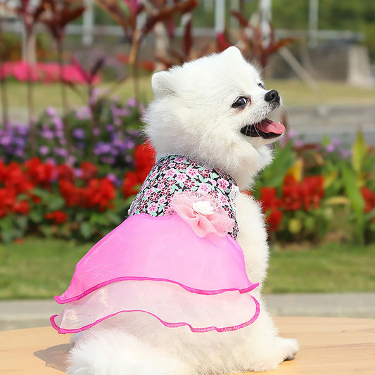 Rose Summer Dog Dress