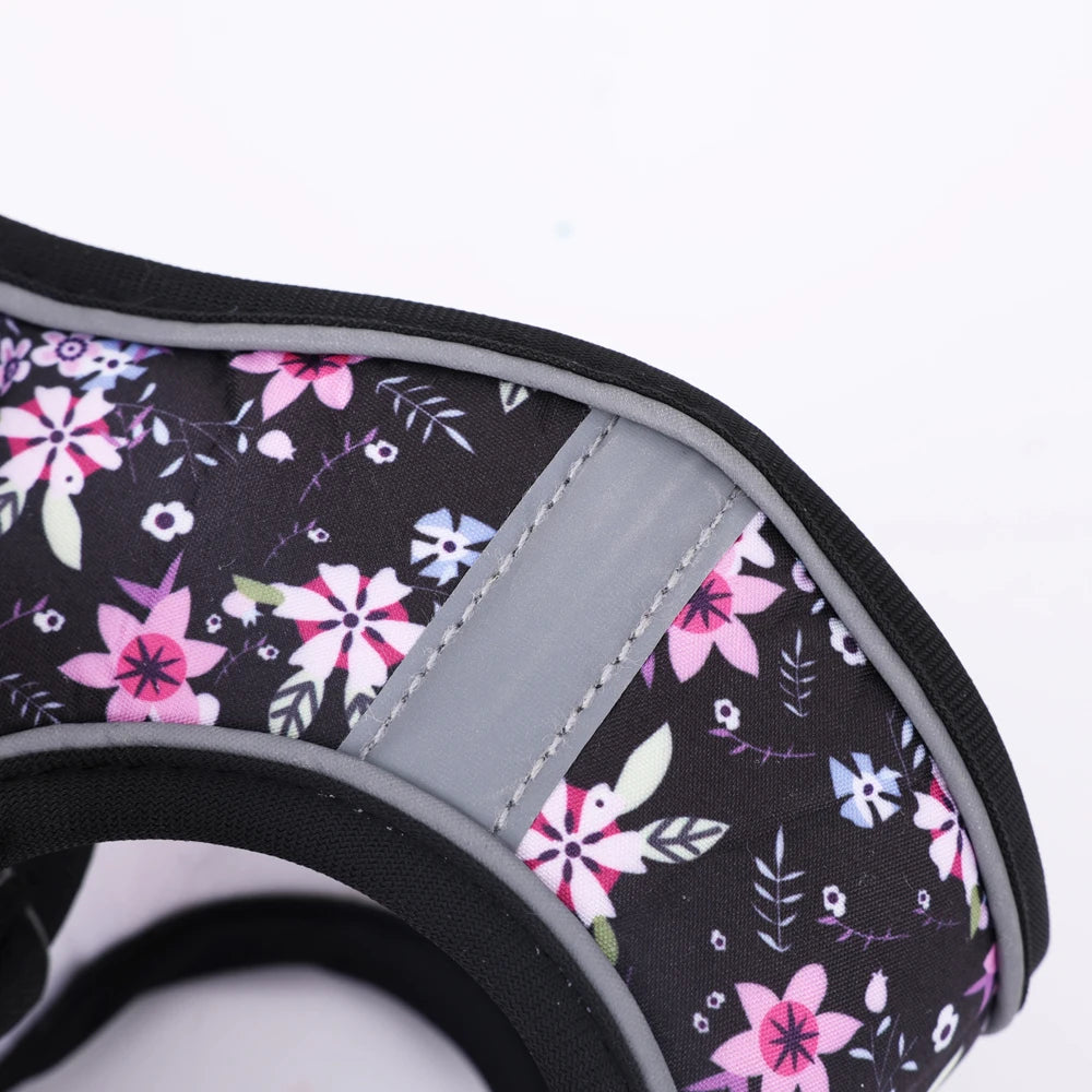 Small Dog Harness & Leash Set