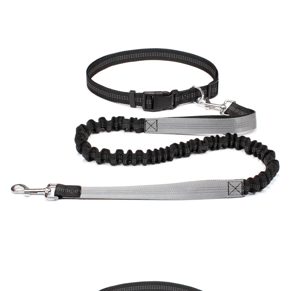 Hands-Free Dog Leash with Waist Belt