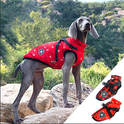 Winter Dog Jacket with Built-In Harness
