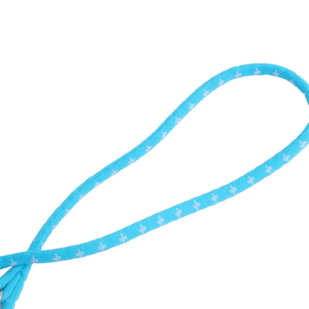 Small Pet Harness & Leash