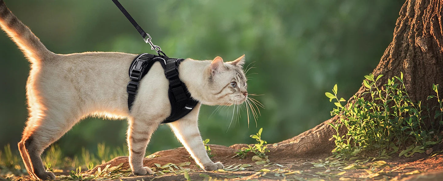 Soft Escape-Proof Cat Harness & Leash