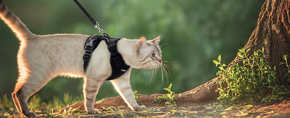 Soft Escape-Proof Cat Harness & Leash