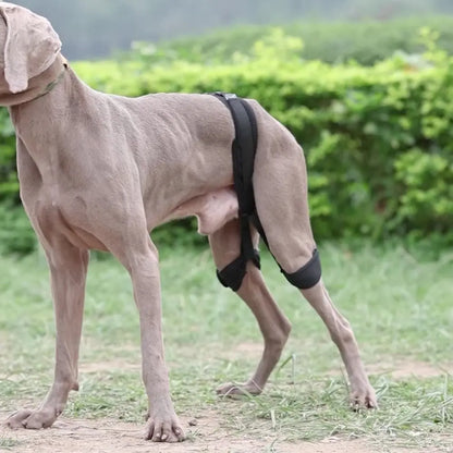 Dog Hip Brace & Hind Leg Support