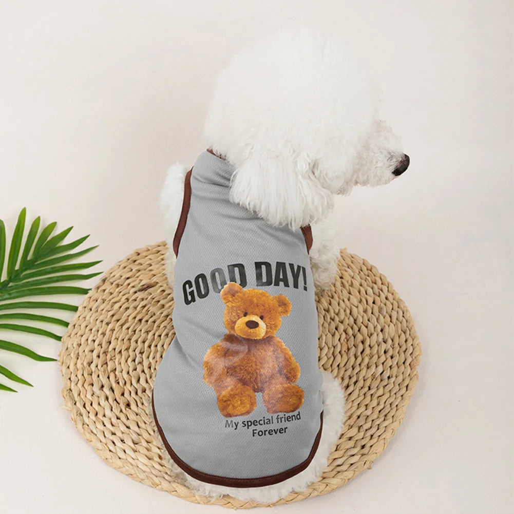Bear-Print Dog & Cat Tee