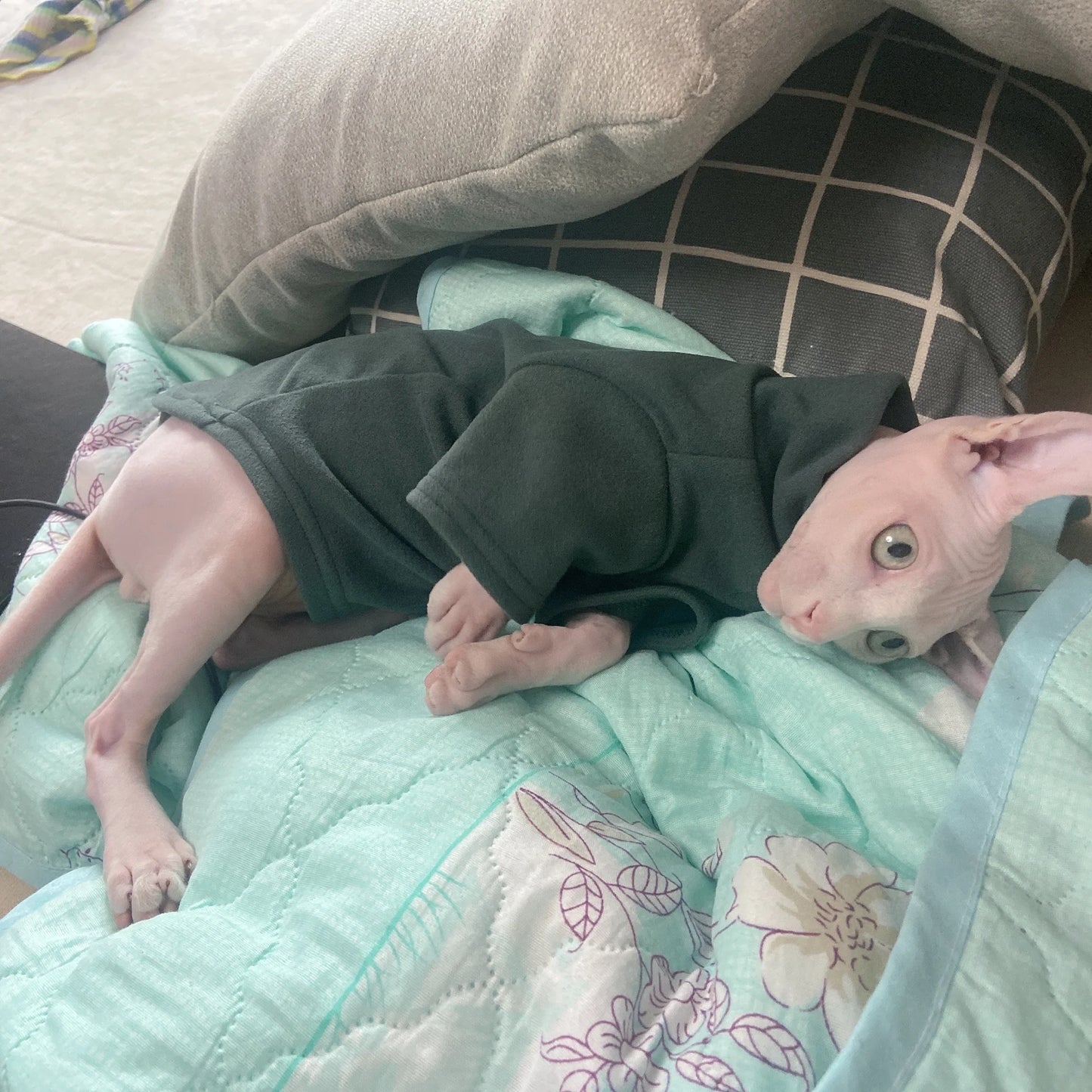 Soft Cotton Sphynx Cat Top