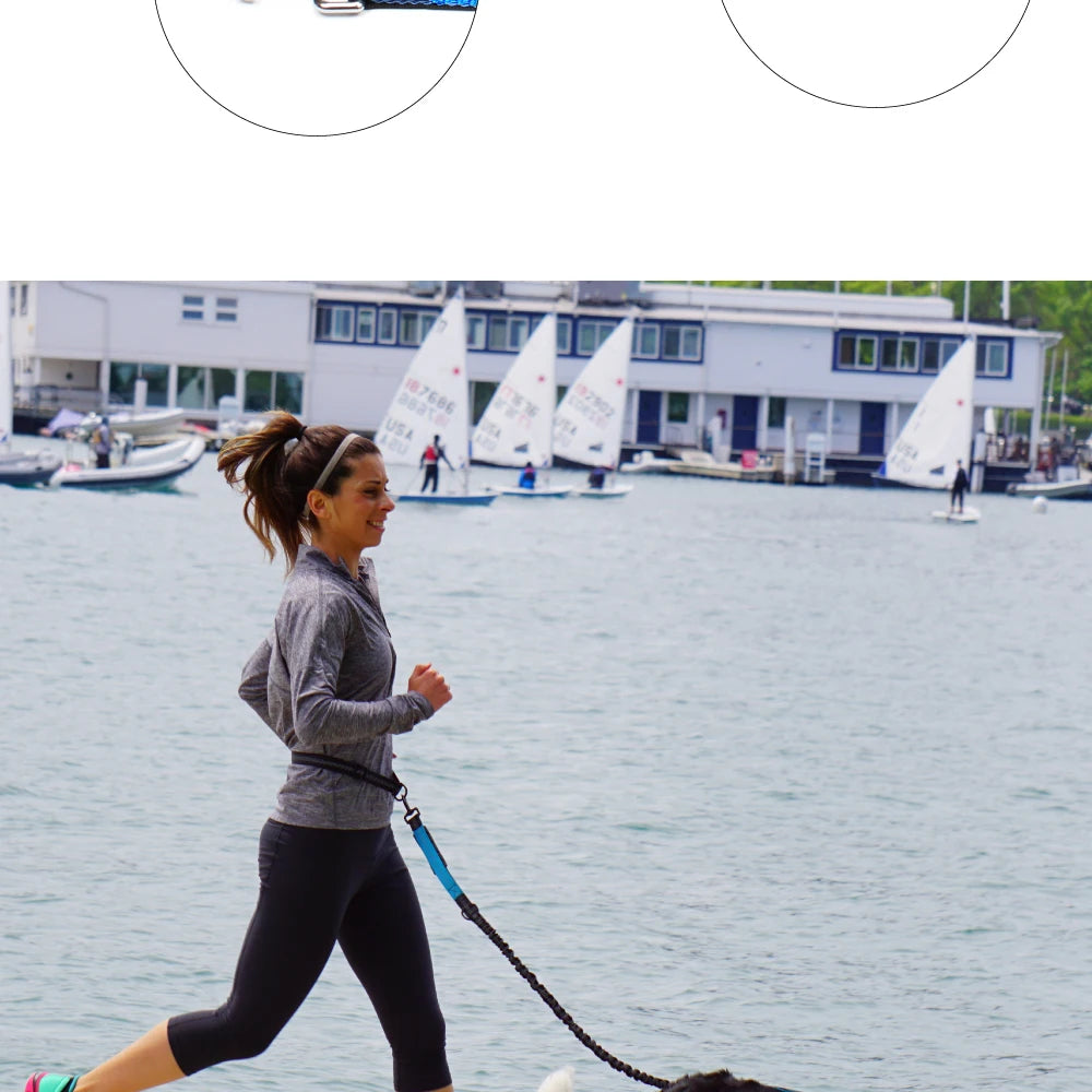 Hands-Free Dog Leash with Waist Belt