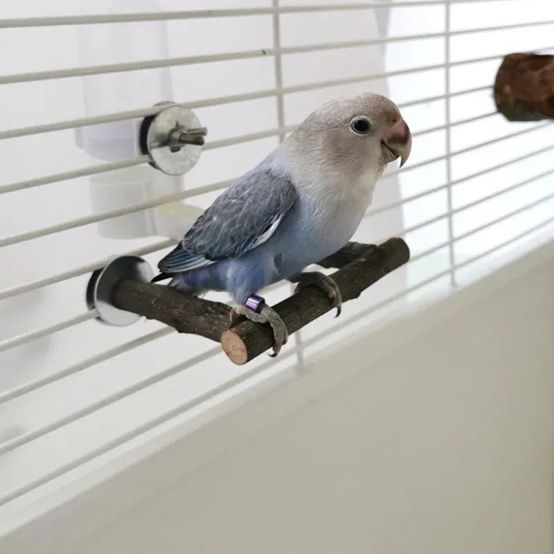 Natural Wood Branch Bird Perch