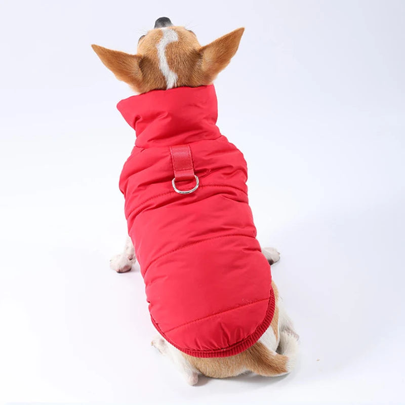 Windproof Padded Winter Dog Coat
