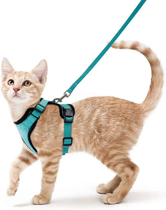 Soft Escape-Proof Cat Harness & Leash