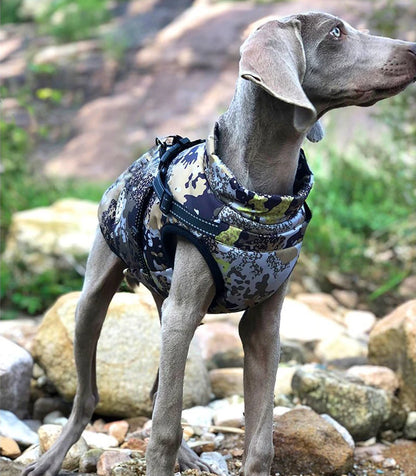 Winter Dog Jacket with Built-In Harness