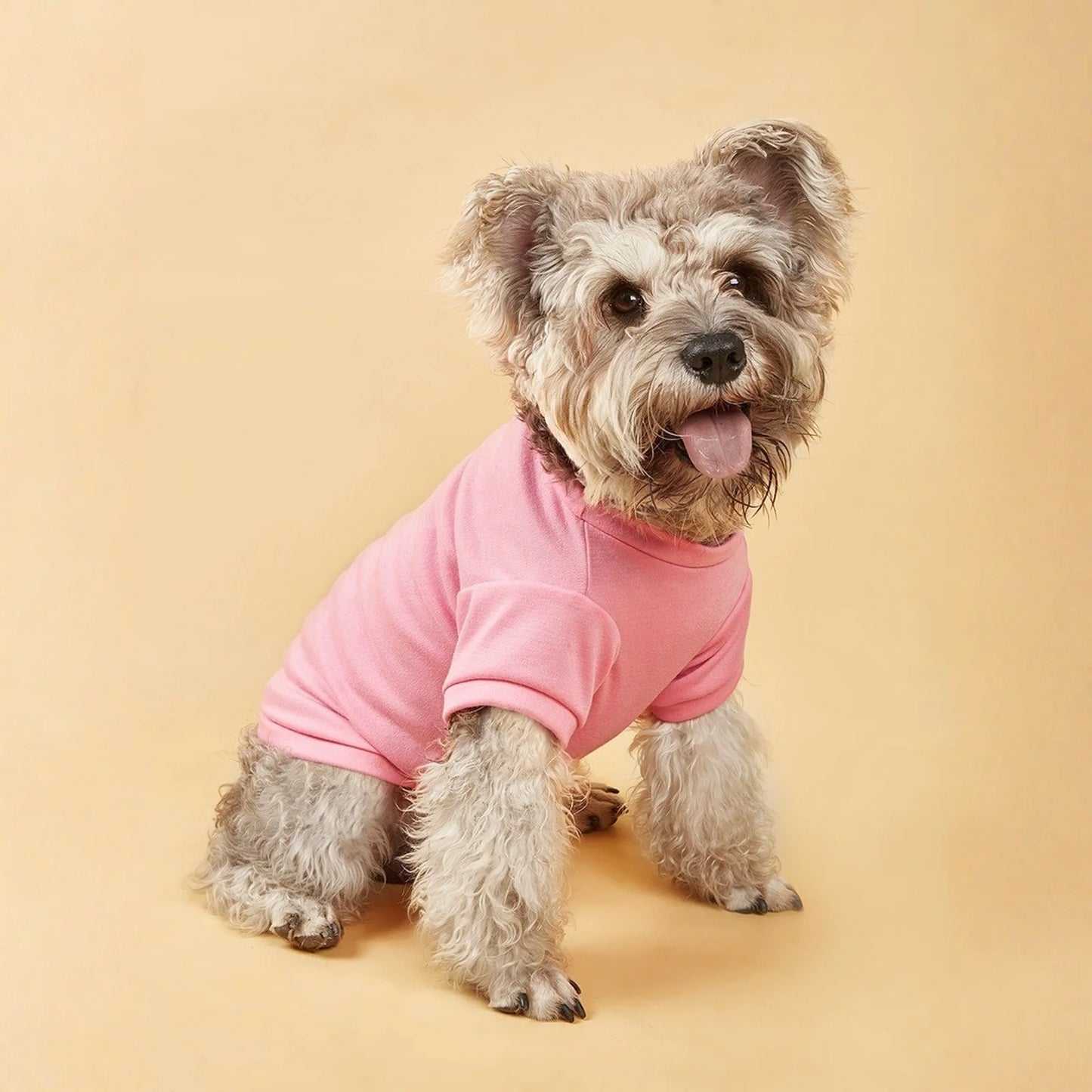 Solid Summer Dog Tee