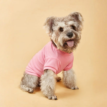 Solid Summer Dog Tee