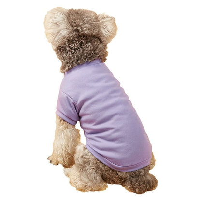 Solid Summer Dog Tee