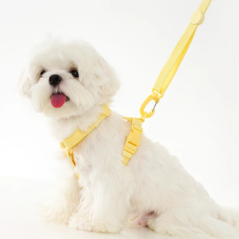 Macaron Dog Harness, Collar & Leash Set
