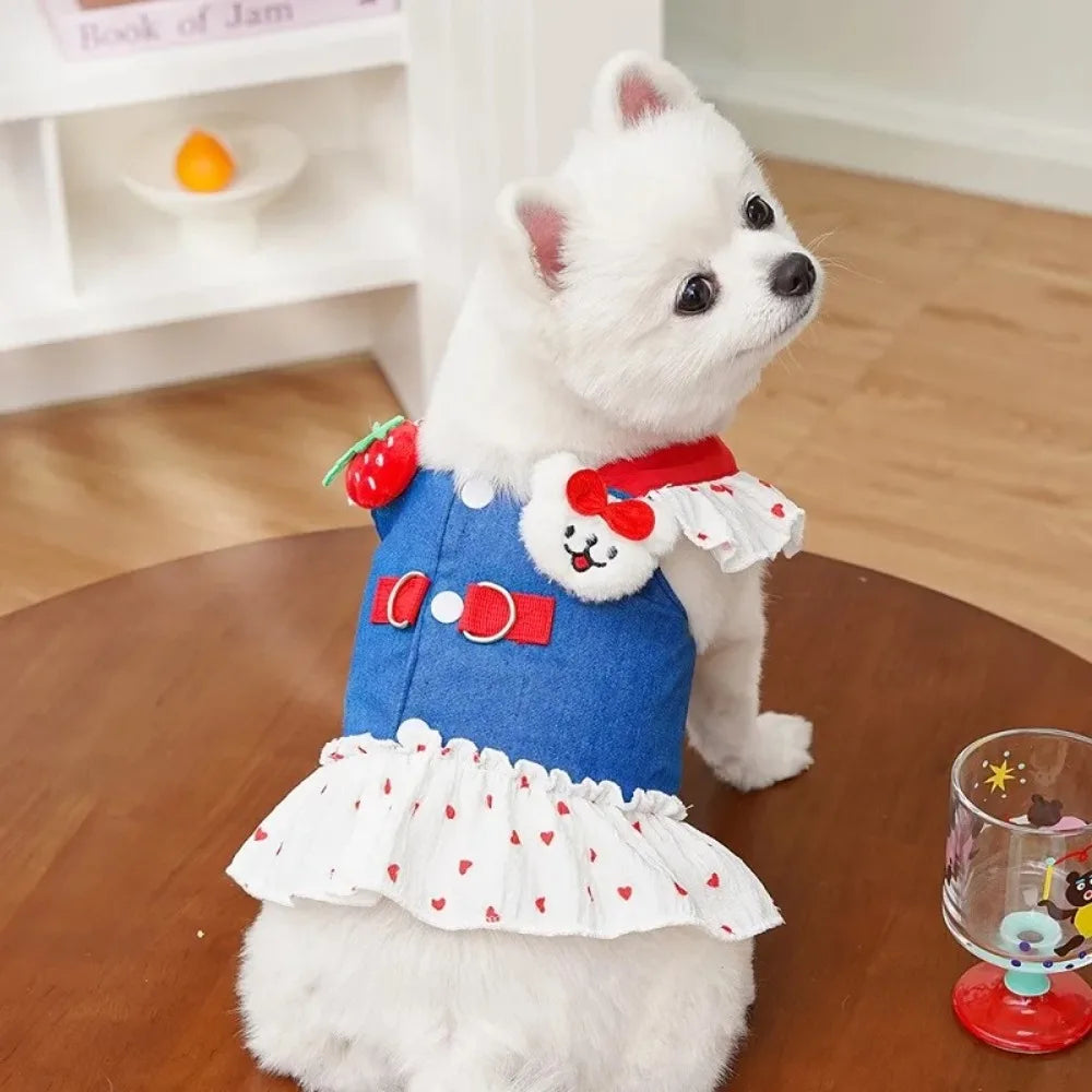 Strawberry Denim Dog Harness Dress