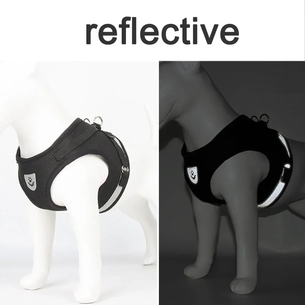 Reflective Escape-Proof Cat Harness Set