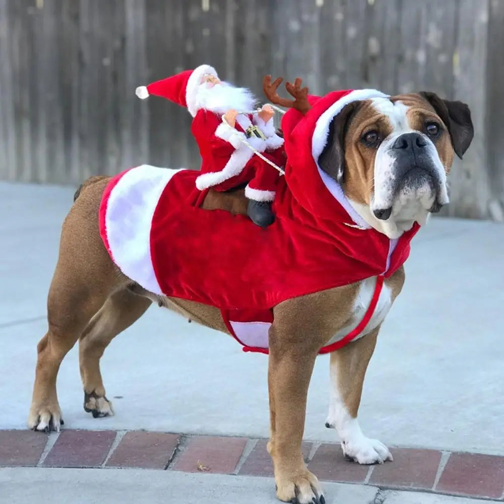 Christmas Snowman & Santa Costume Coat