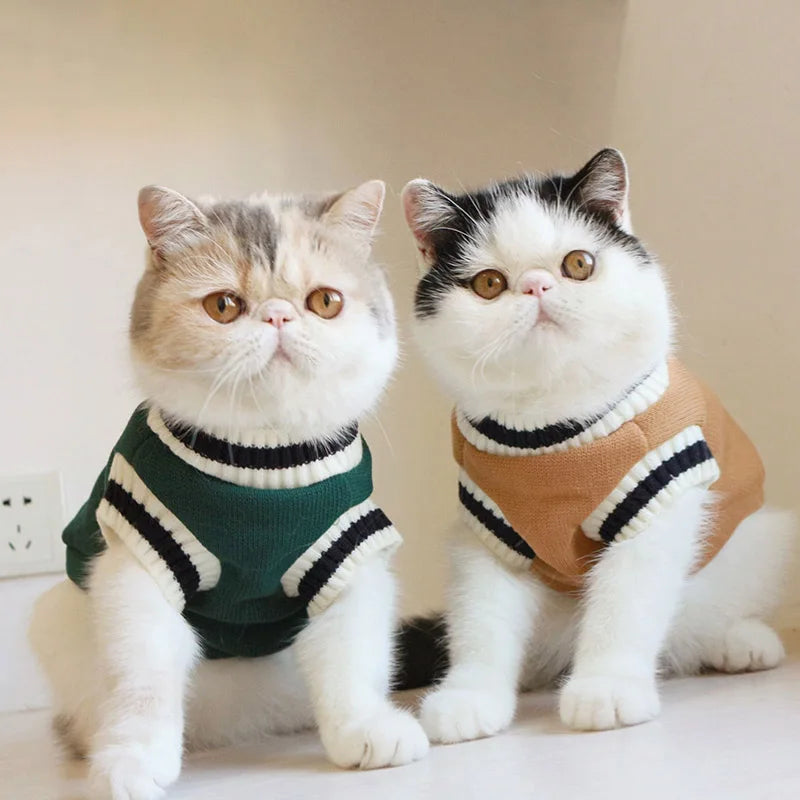 Winter Knit Pet Pullover