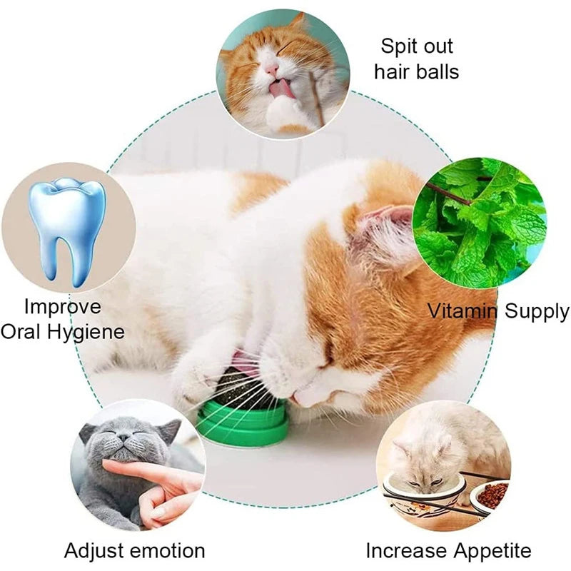 Lickable Catnip Ball Treats