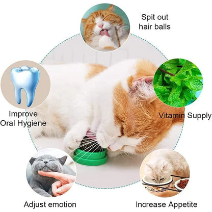 Lickable Catnip Ball Treats