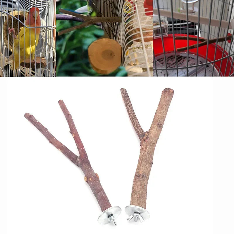 Natural Wood Branch Bird Perch