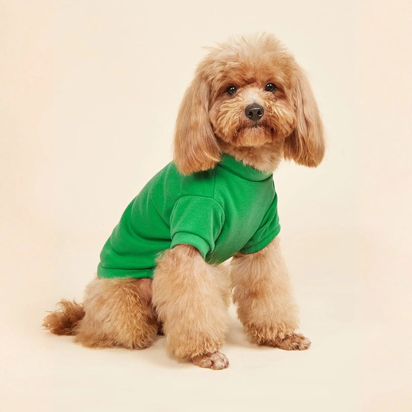 Solid Summer Dog Tee