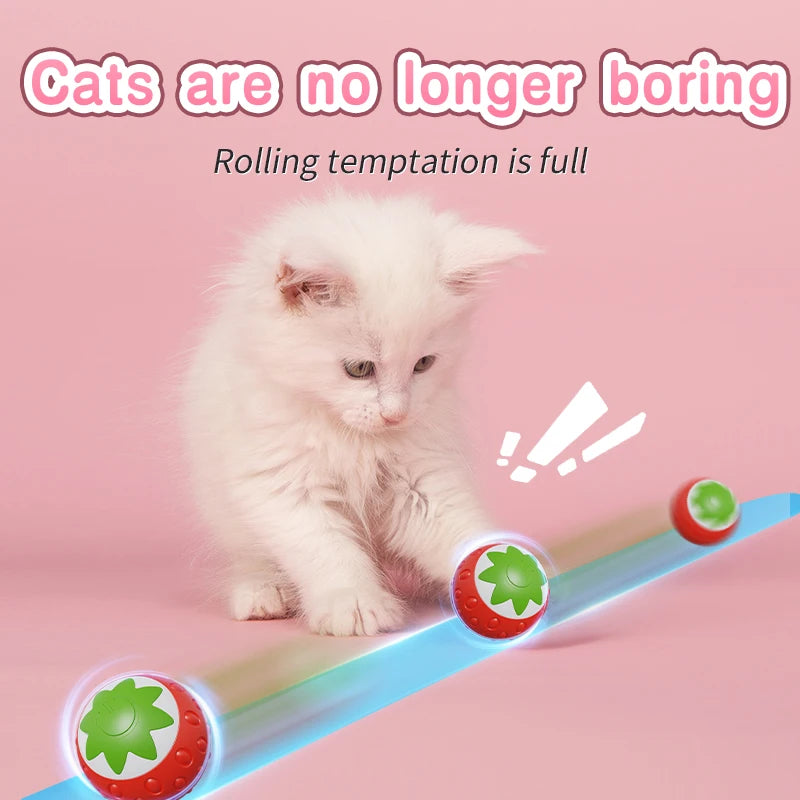 Automatic Rolling Cat Ball