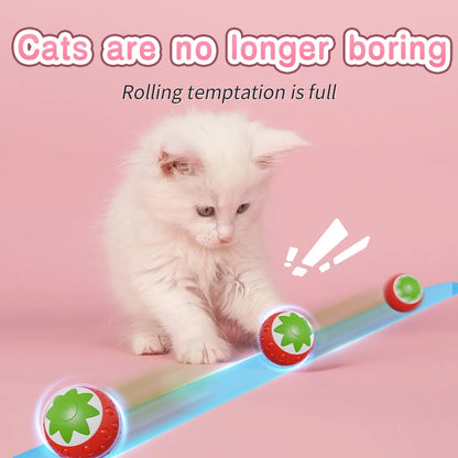 Automatic Rolling Cat Ball